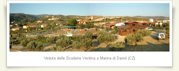 Panoramica della scudera Verdina